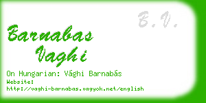 barnabas vaghi business card